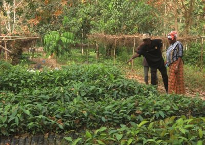  Cisco and Aminata Ouédraogo at the Trantie Troti tree nursery site in Gahably